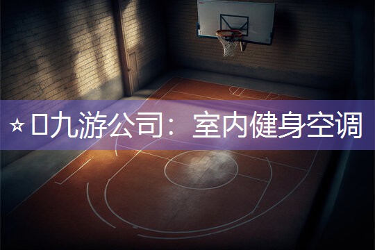 ⭐️九游公司：室内健身空调