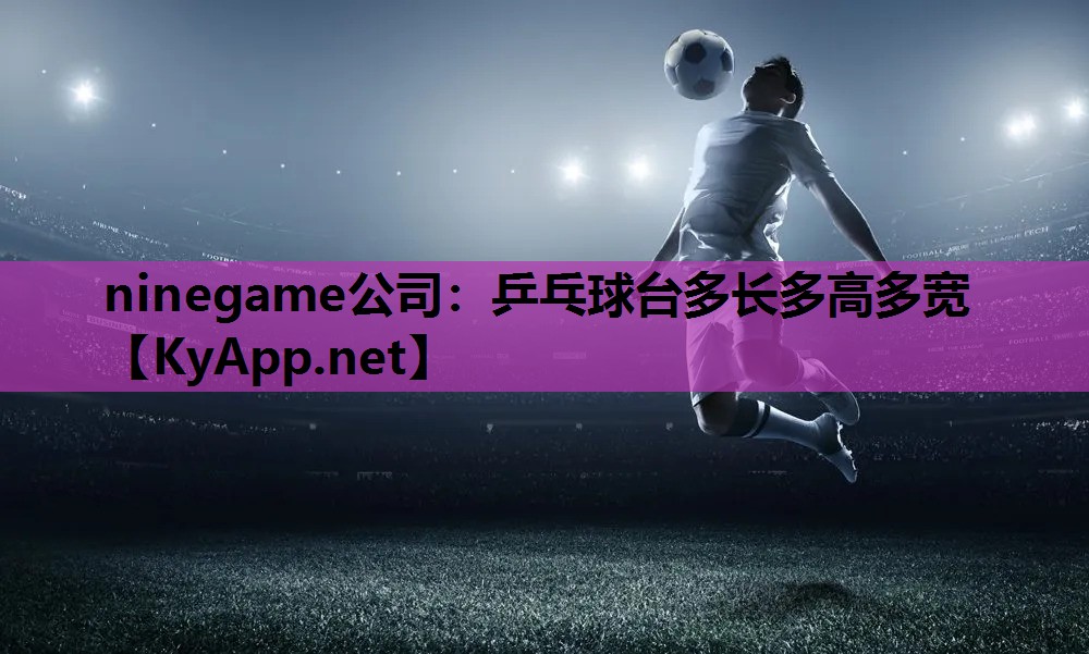 ninegame公司：乒乓球台多长多高多宽