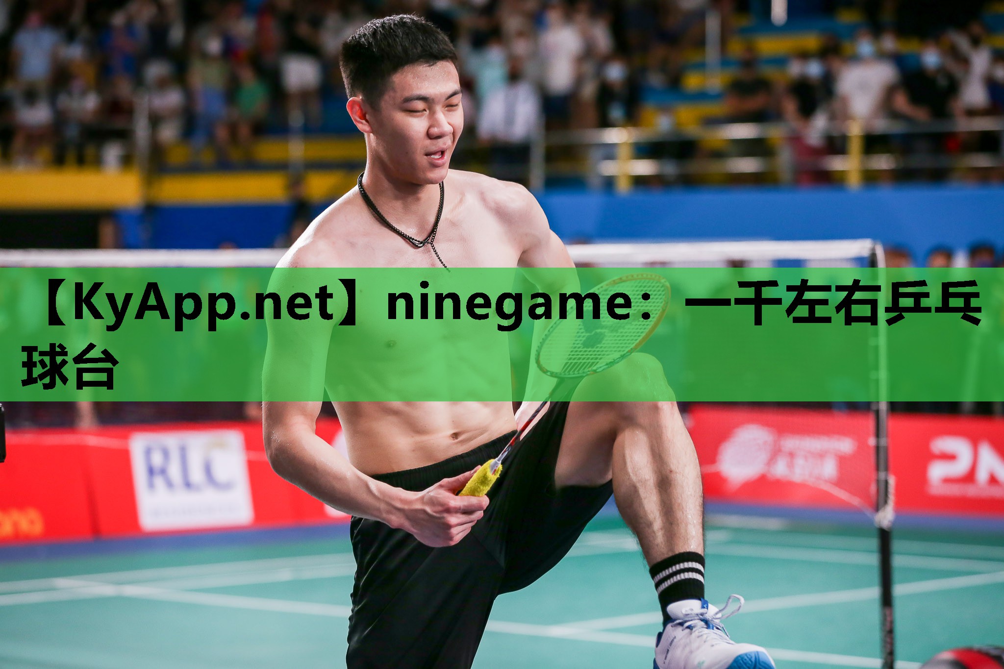 ninegame：一千左右乒乓球台