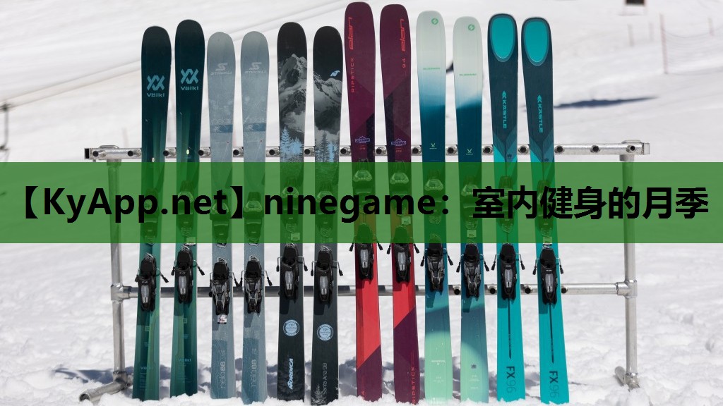 ninegame：室内健身的月季