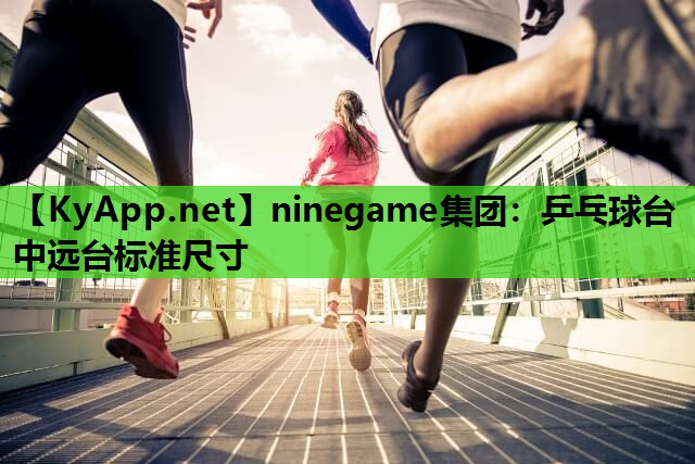 ninegame集团：乒乓球台中远台标准尺寸