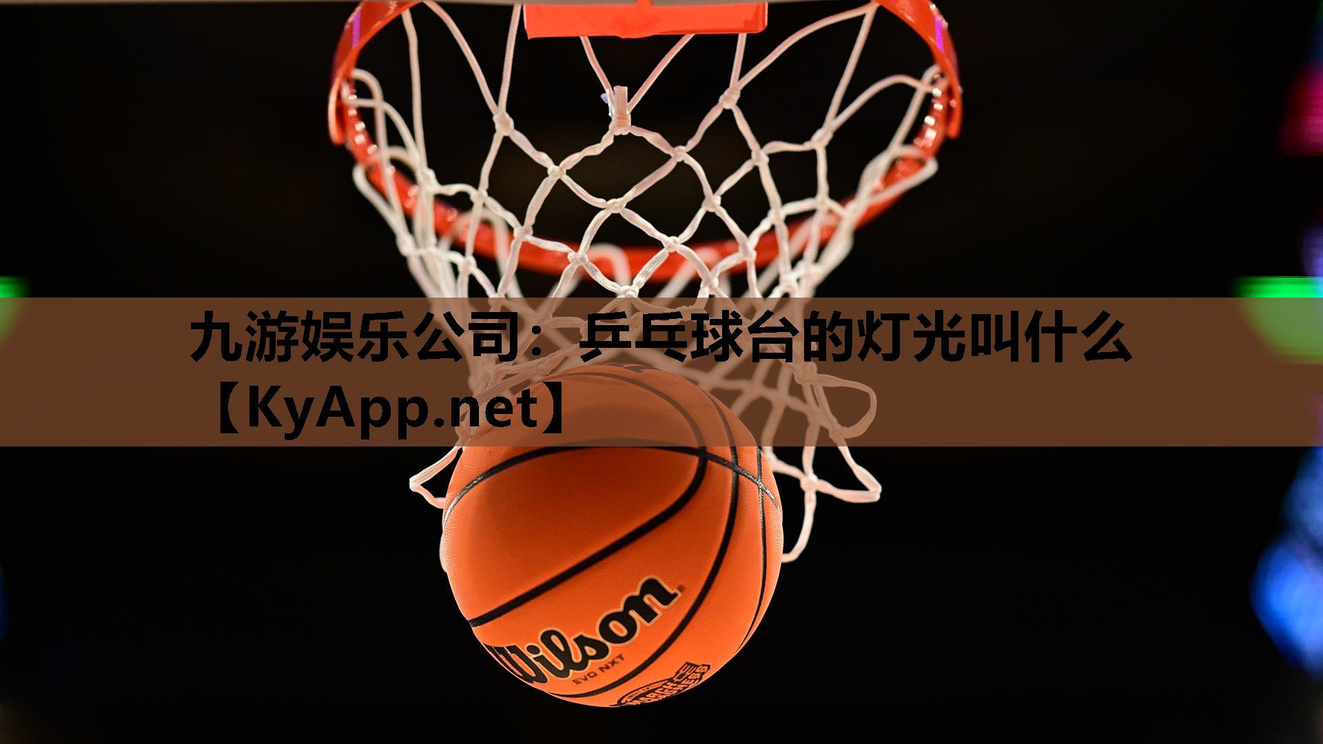 乒乓球台的灯光叫什么