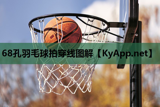 68孔羽毛球拍穿线图解 68孔羽毛球拍穿线图解